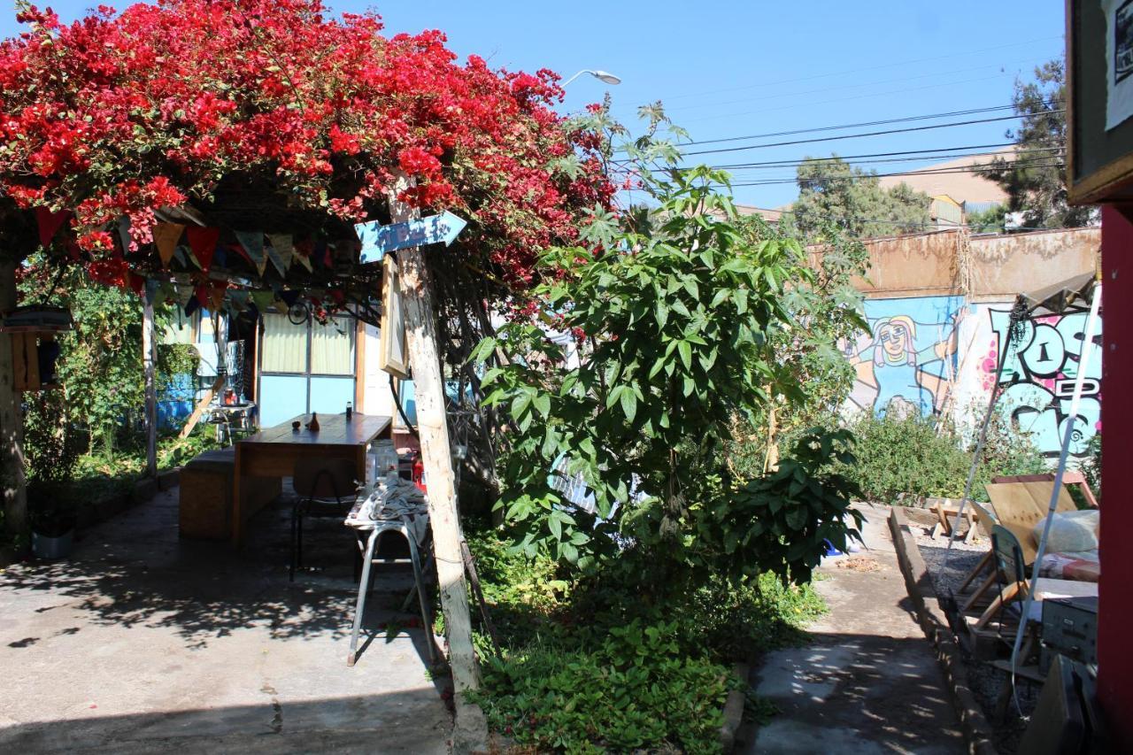 Hostel La Posada Gallo Arica Exterior photo
