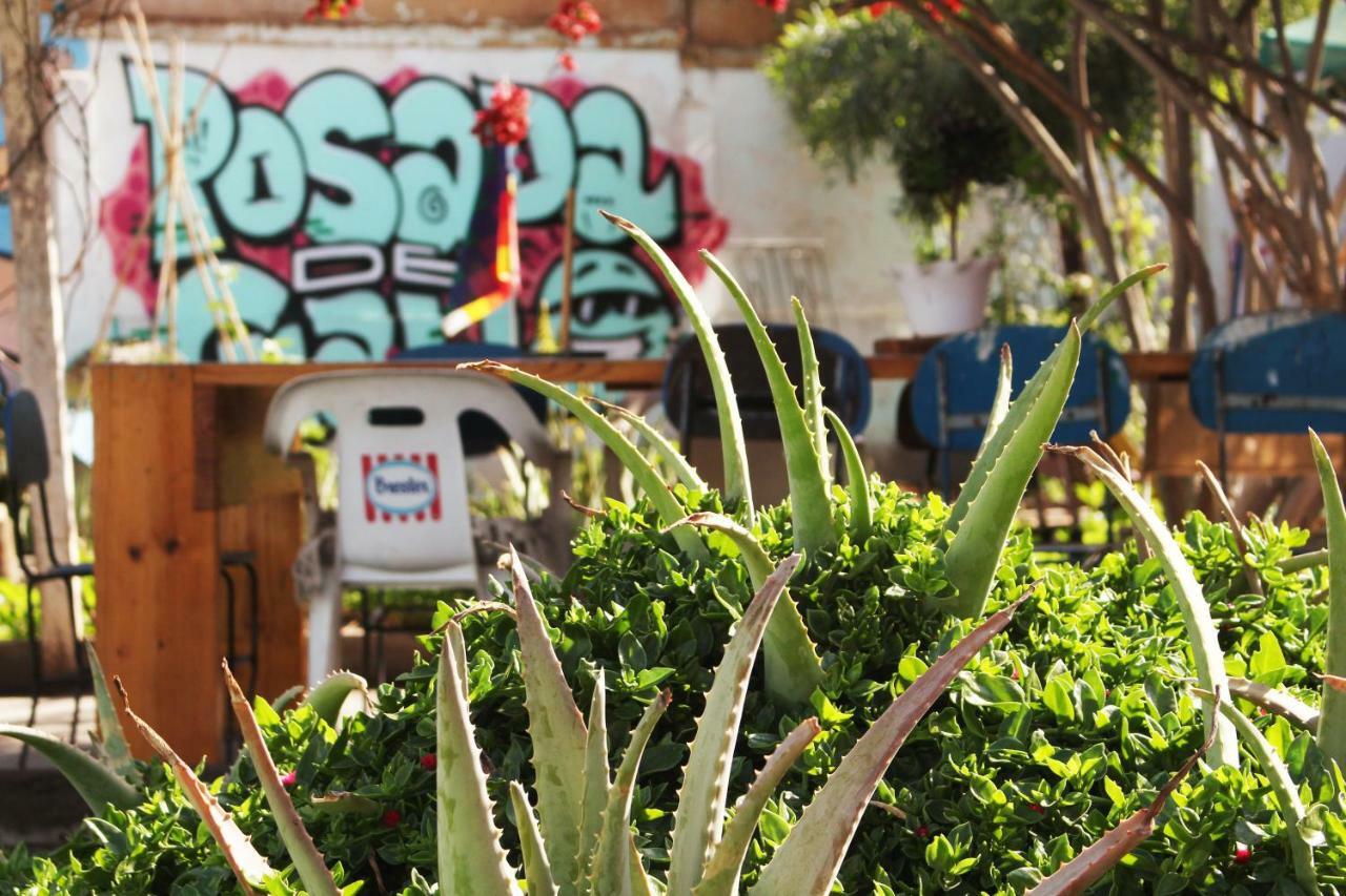 Hostel La Posada Gallo Arica Exterior photo